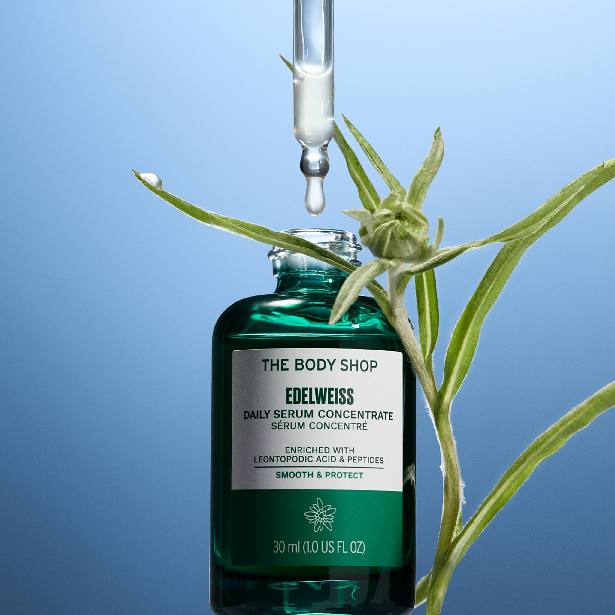 The Body Shop Edelweiss Daily Serum Concentrate with a dropper and plant on a blue background