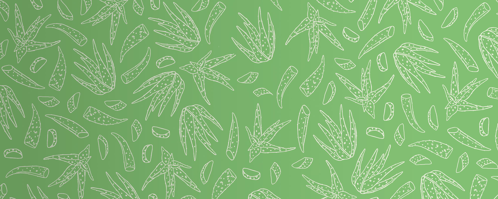 Aloe Vera Products for Skin