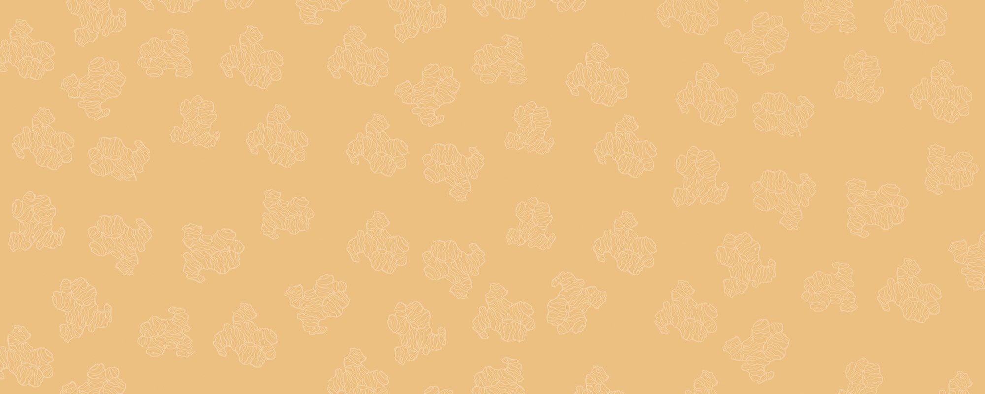 Ginger Haircare Products