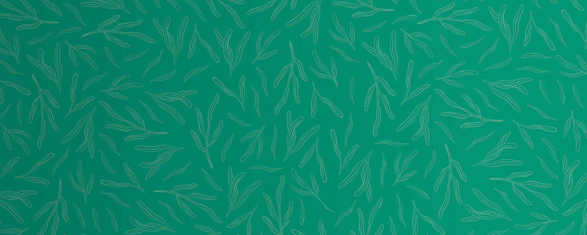 Tea Tree Skincare & Haircare Products