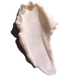 Almond Milk Body Butter