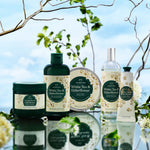 White Tea & Elderflower lifestyle range - The Body Shop