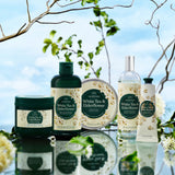 White Tea & Elderflower lifestyle range - The Body Shop