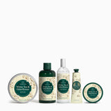 Ultimate White Tea & Elderflower Collection