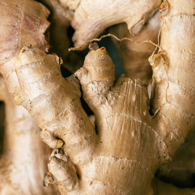 Ginger Root Density Complex