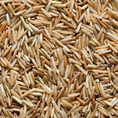 Rice Peptides
