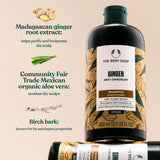 The Body Shop Ginger Anti-Dandruff Shampoo bottle with ingredients listed on a beige background. Madagascan ginger root extract: helps purify and invigorate the scalp. Community Fair Trade Mexican organic aloe vera: soothes dry scalps. Birch bark: known for its astringent properties.