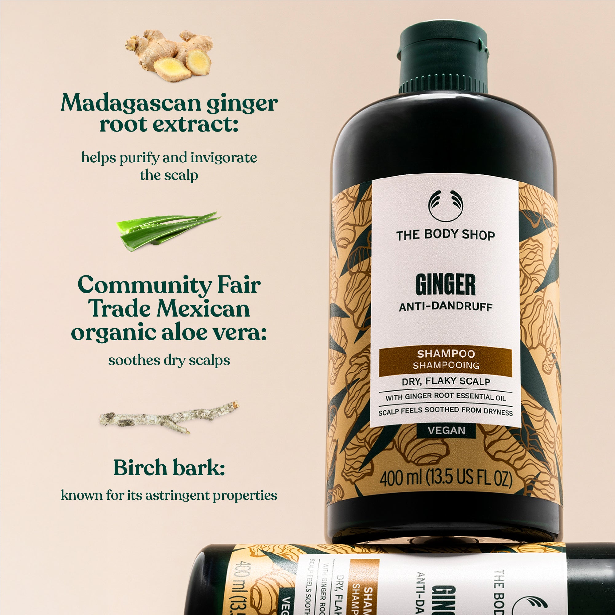 The Body Shop Ginger Anti-Dandruff Shampoo bottle with ingredients listed on a beige background. Madagascan ginger root extract: helps purify and invigorate the scalp. Community Fair Trade Mexican organic aloe vera: soothes dry scalps. Birch bark: known for its astringent properties.