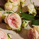 The Body Shop Full Rose Eau de Parfum