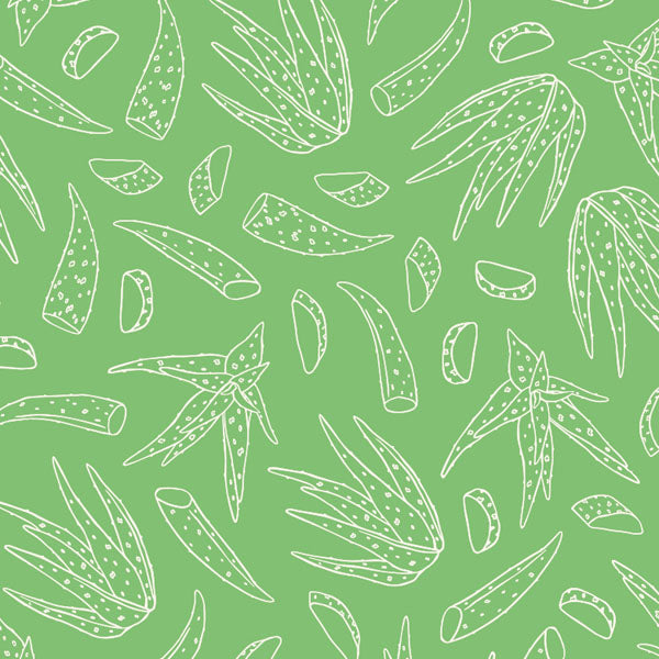 White line art of aloe vera on a green background