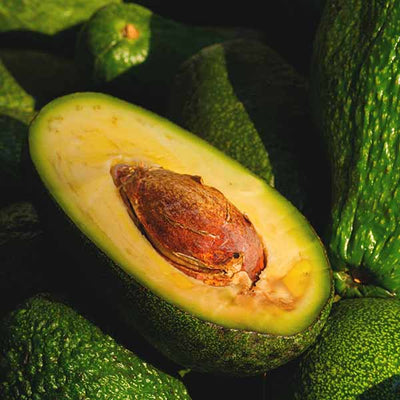 Avocado Oil