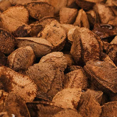 Community Fair Trade Brazil Nut Oil