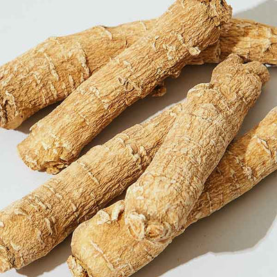 Ginseng Root Extract