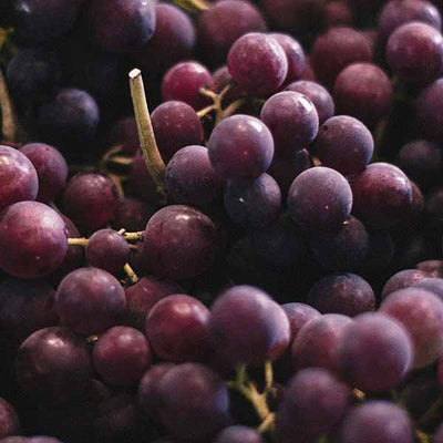 Grape Seed Powder