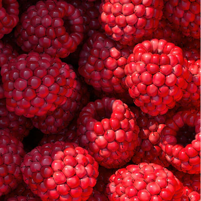Raspberry Seed Oil