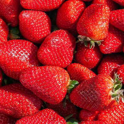 Strawberry Seed Oil and Juice Extract