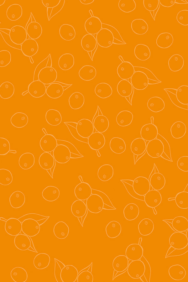 Pattern of white outlines of berries on an orange background